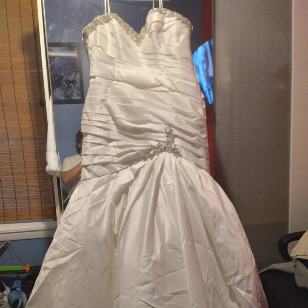 Enzoani Magnolia Wedding Dress with veil and sash - Picture 9 of 10